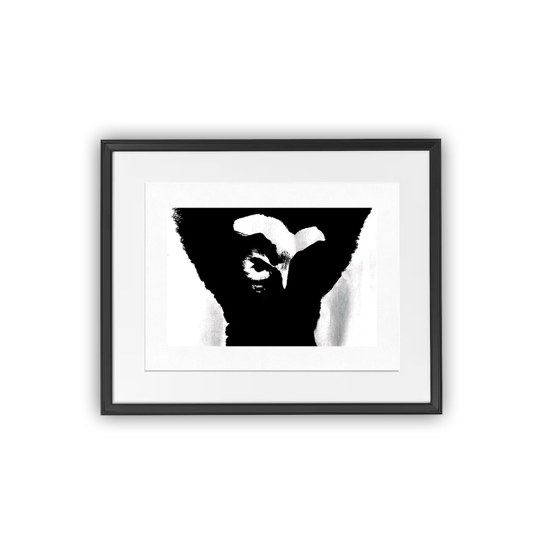 Nin